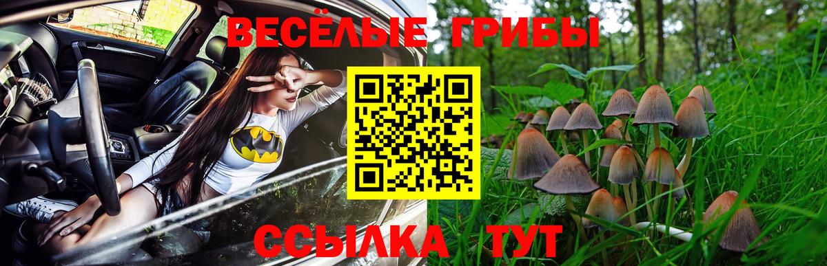 Галлюциногенные грибы Psilocybine cubensis Заводоуковск